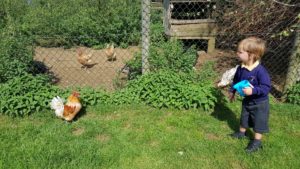 childrens farm banbury 