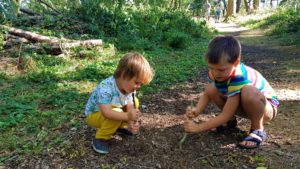 Digging in the woods