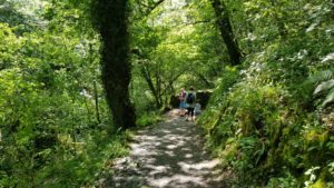 Walk down the watersmeet 