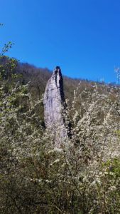 Ilam rock in spring 