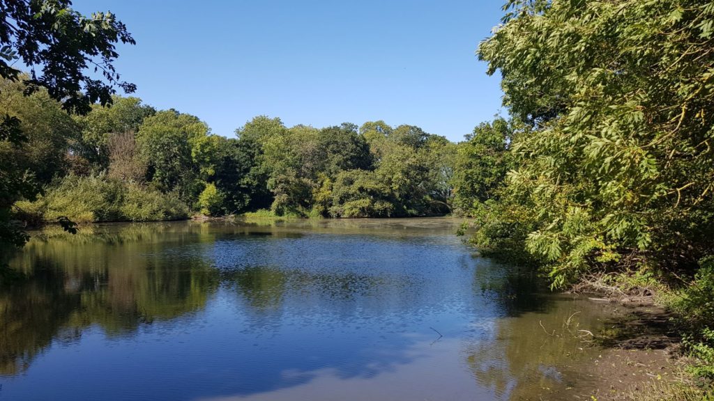 Boarstall lake 