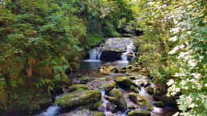 Waterfall North Devon
