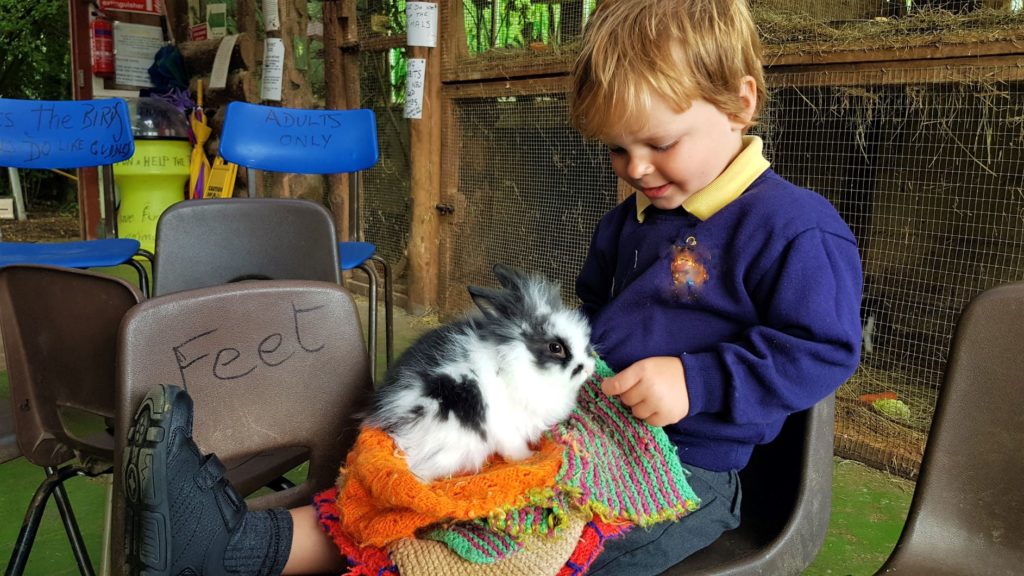 Baby rabbit feeding at the waterfowl sanctuary 