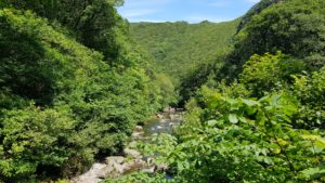 view of watersmeet 