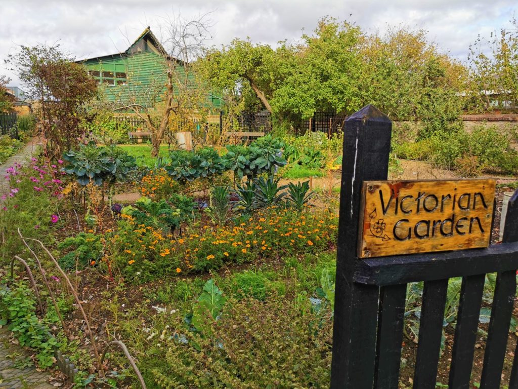 Victorian garden MK