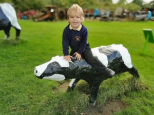 Concrete cows mk