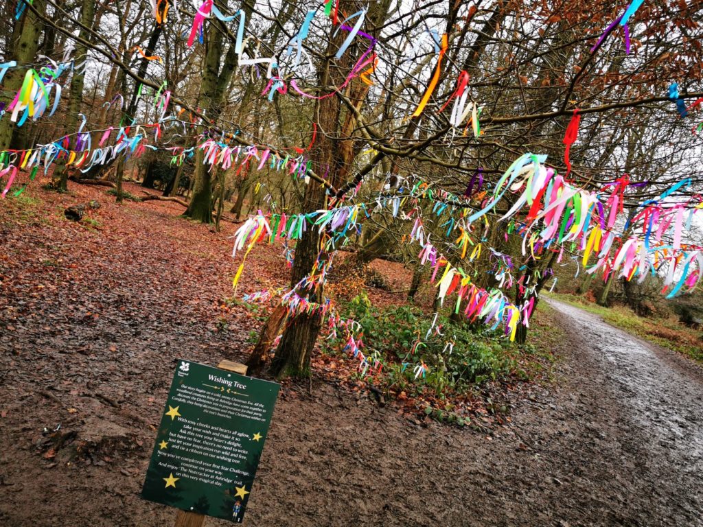 wishing tree Ashridge estate