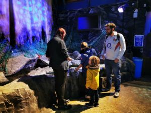 Learning at the sea life centre 