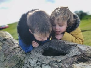 Exploring Burton Dassett country park