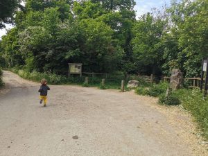 Entrance to Kirtlington quarry 