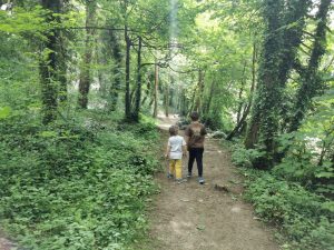 Kirtlington quarry woods