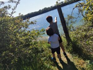 Looking out over the lake 