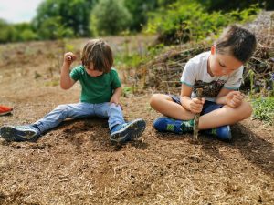 Woodland learning 