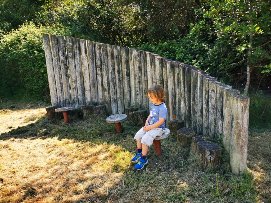 sculptures in Piddington wood