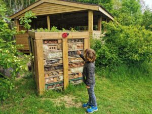 Forest Of Marston Vale Bug hotel