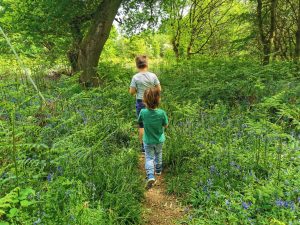 Tackley wood walk