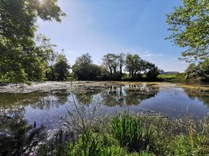 Fishing lake Bicester