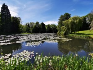 Smaller pond Wroxton