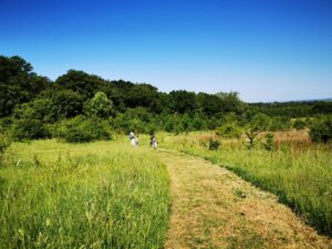 Piddington walk