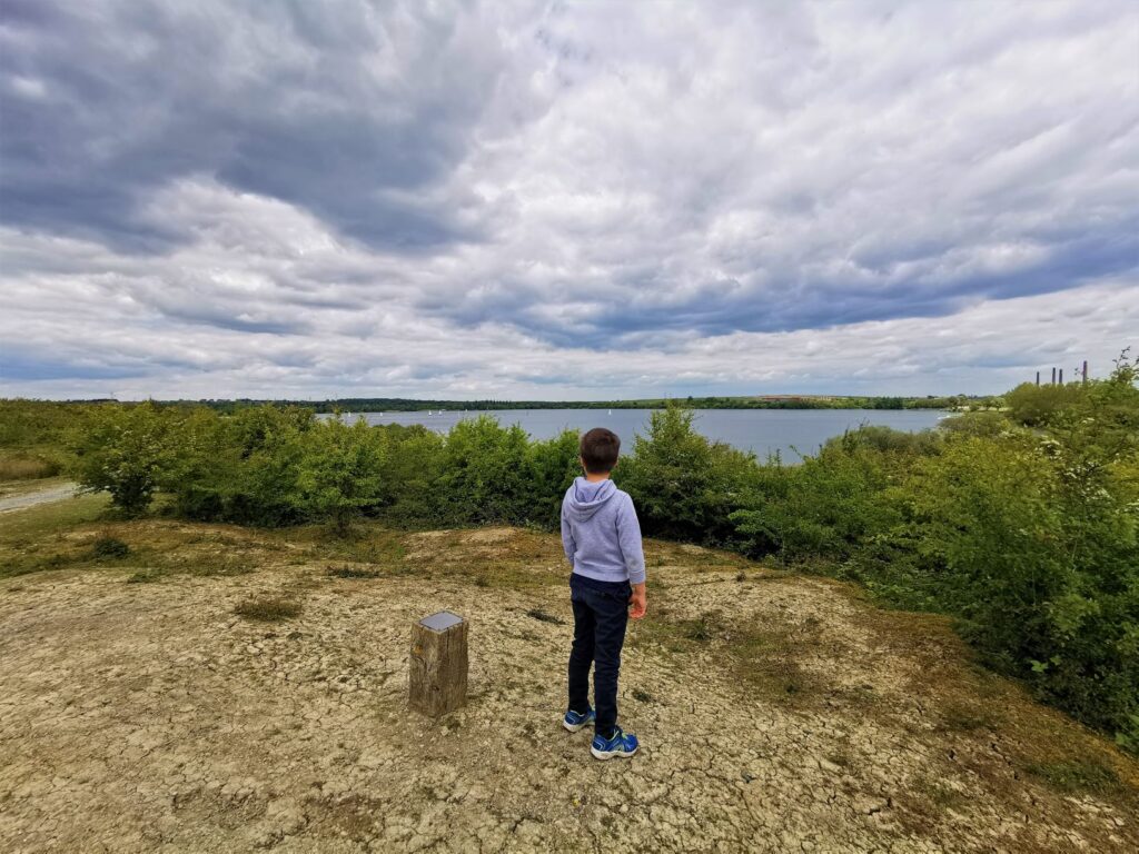 Forest Of Marston Vale 