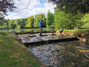 Stepping stones near banbury