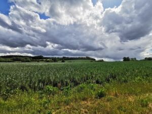 Buckinghamshire cycle routes