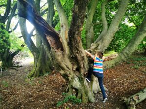 Tree climbing nature reserves 