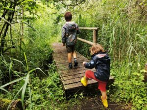 Bridges in Lashfod lane fen