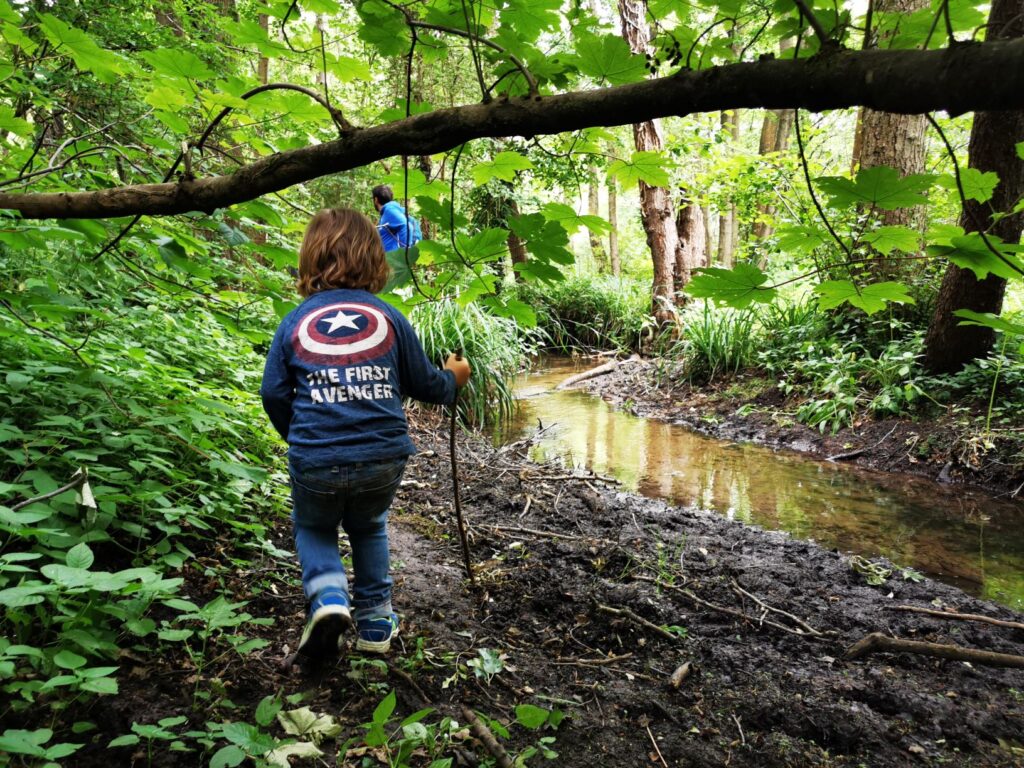 Dry Sandford Pit Nature reserve