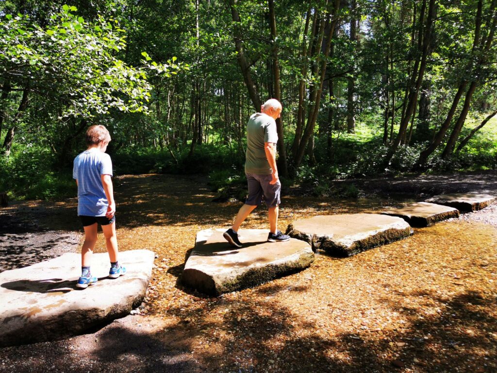 Cannock chase stepping stones 