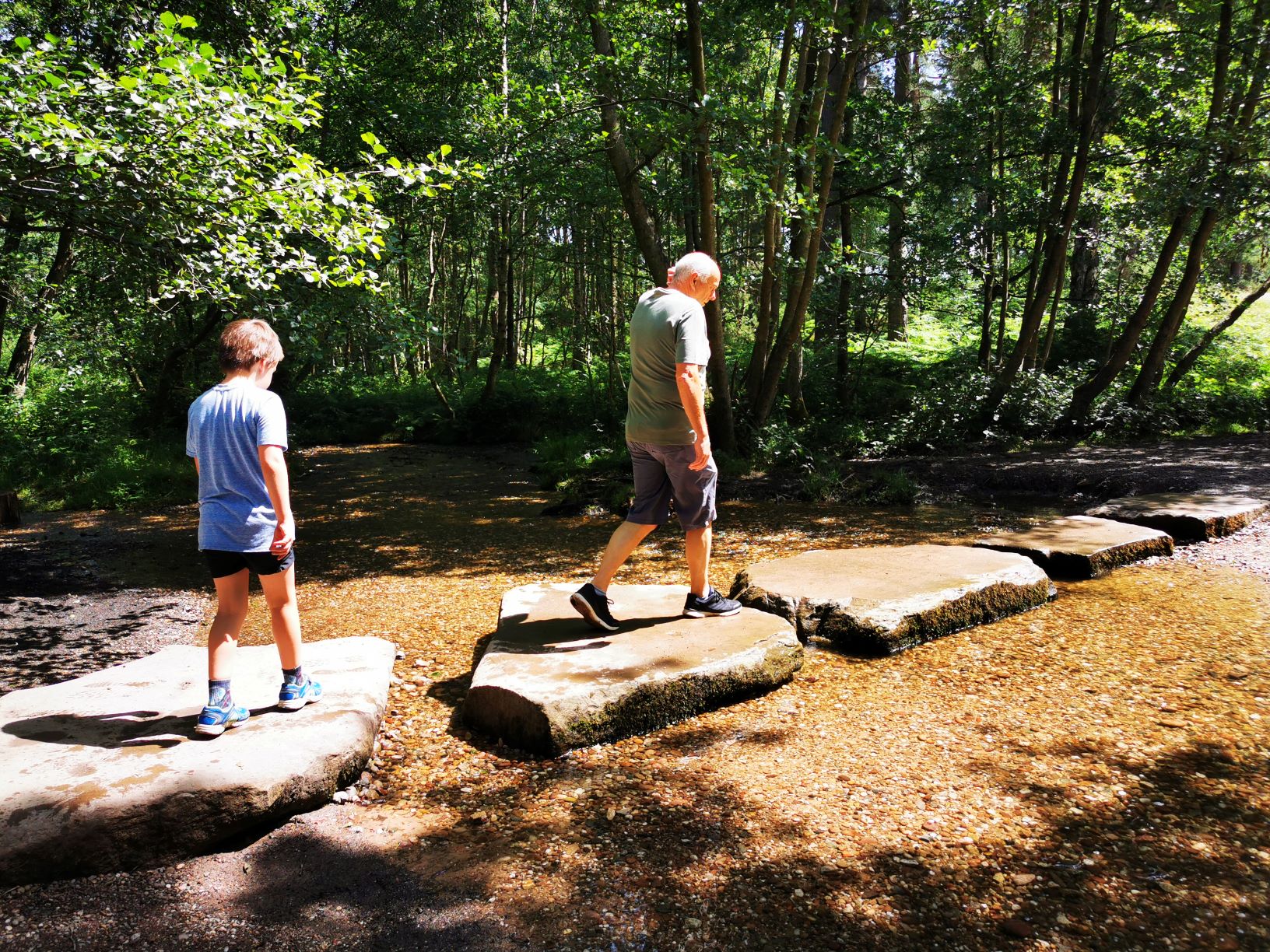 Cannock chase stepping stones