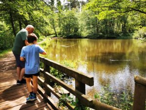 Cannock Chase 