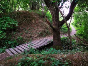 Walkways through ardley quarry nature reserve