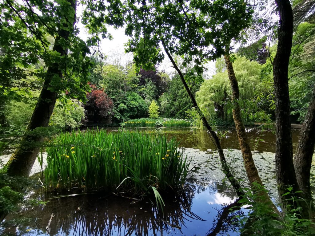 Wild Wychwood Garden 