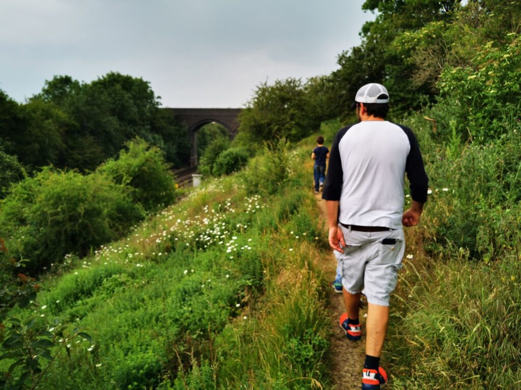 Ardley Quarry nature reserve