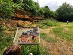 dry sandford pit nature reserve