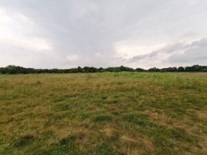 Ardley quarry field