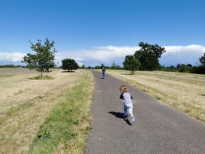 Waddesdon cycle route 