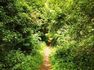 Oxfordshire nature reserves