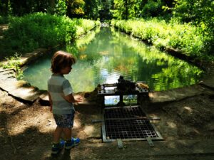 Chipping norton gardens 