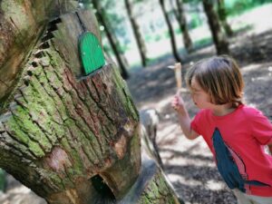 Fairy door in cannock chase 