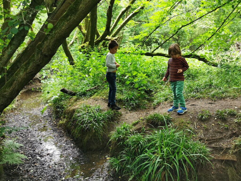 Rushbeds wood