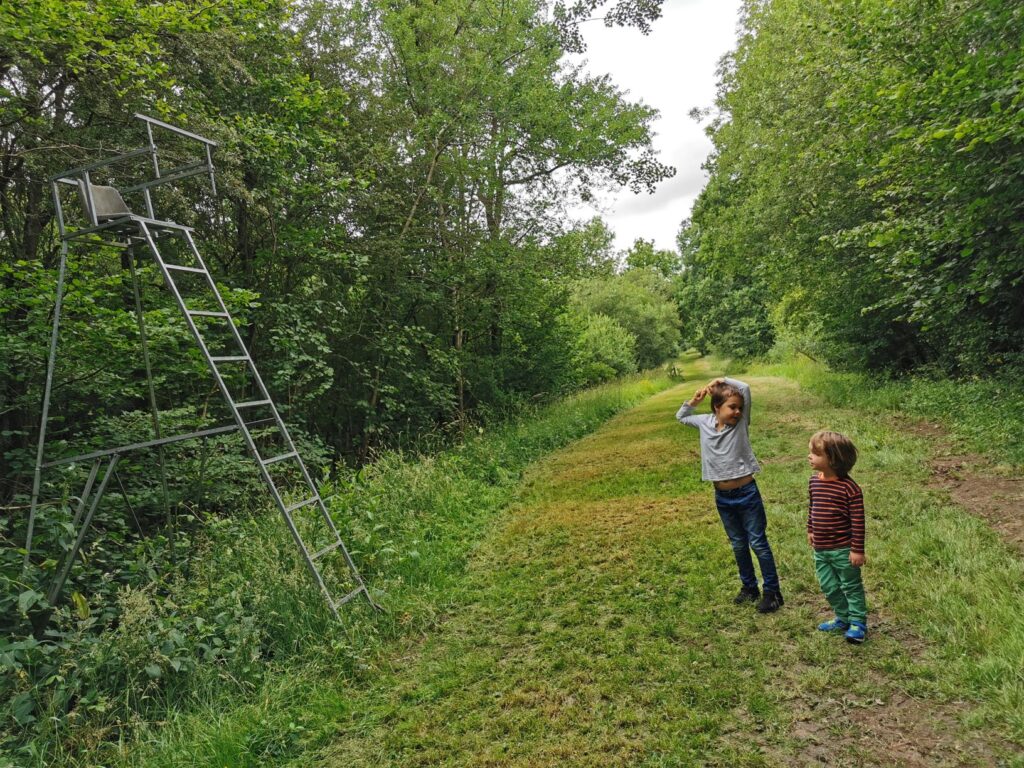 Rushbeds wood