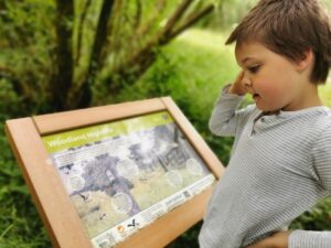 Information signs in rushbeds wood 