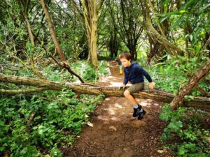 Parsonage moor nature reserve