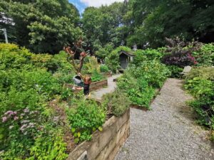 tea room gardens at stanton park 