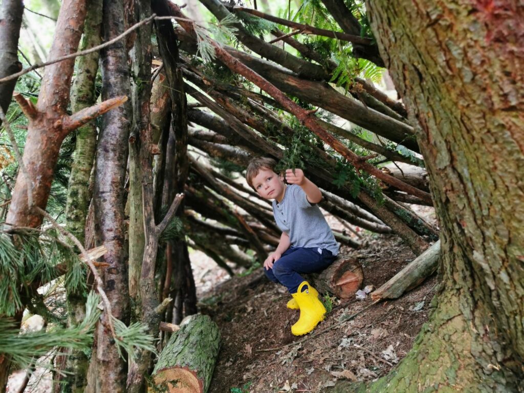 Den building 