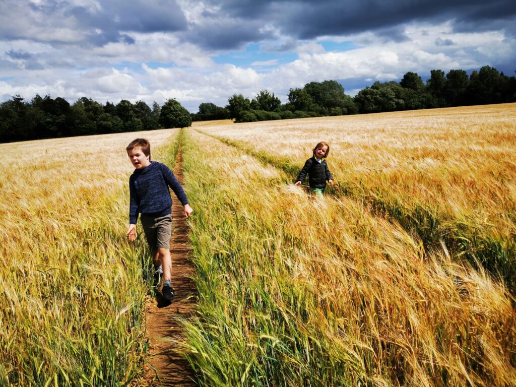 Child friendly walks in Oxfordshire 