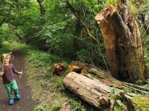 Oxfordshire woodland walks 