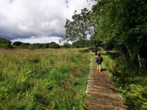 Parsonage moor nature reserve